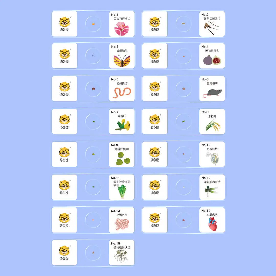 Manufacture Education Learning Microscope Glass Specimen Slides Bulk Kit for Kid Optical Digital Microscope