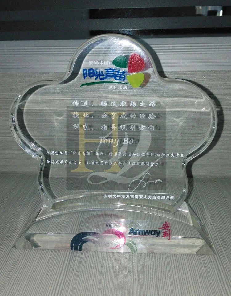 Factory Supplier Acrylic Material Award Customized Plaques Modeling Trophy