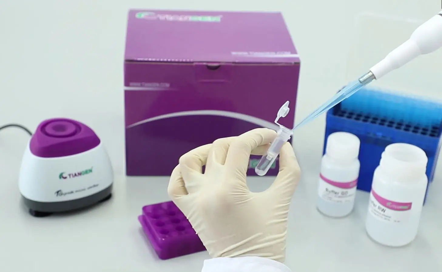Universal DNA Purification Kit