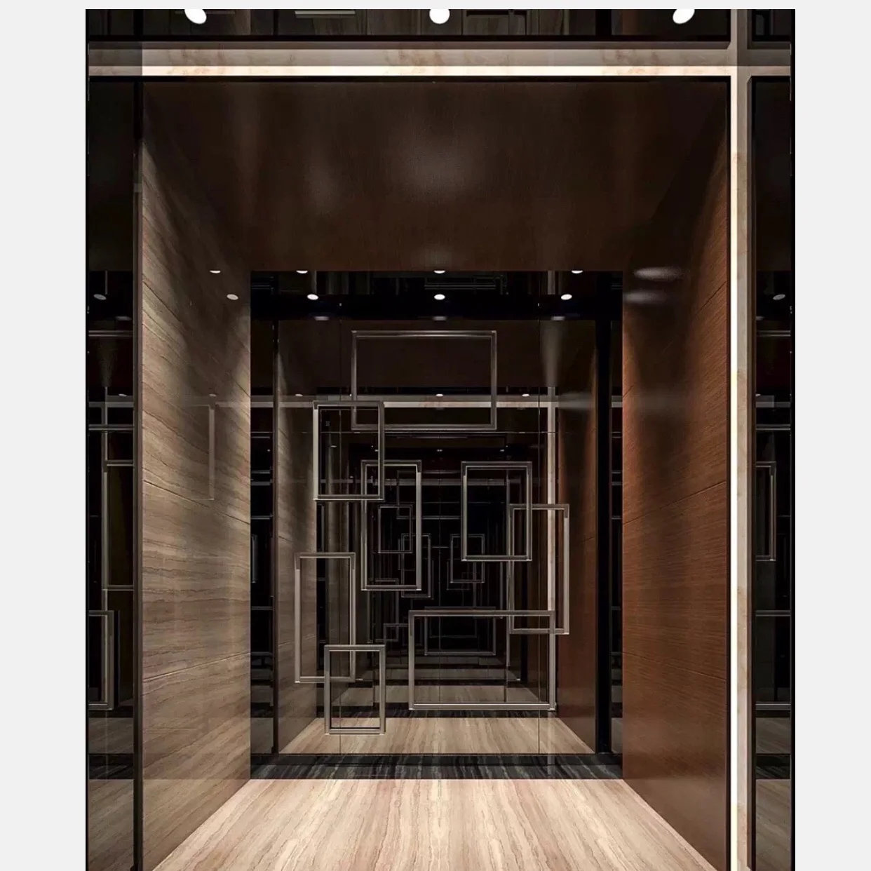 
800KG 10 persons Personalization design Passenger Elevator for construction building 