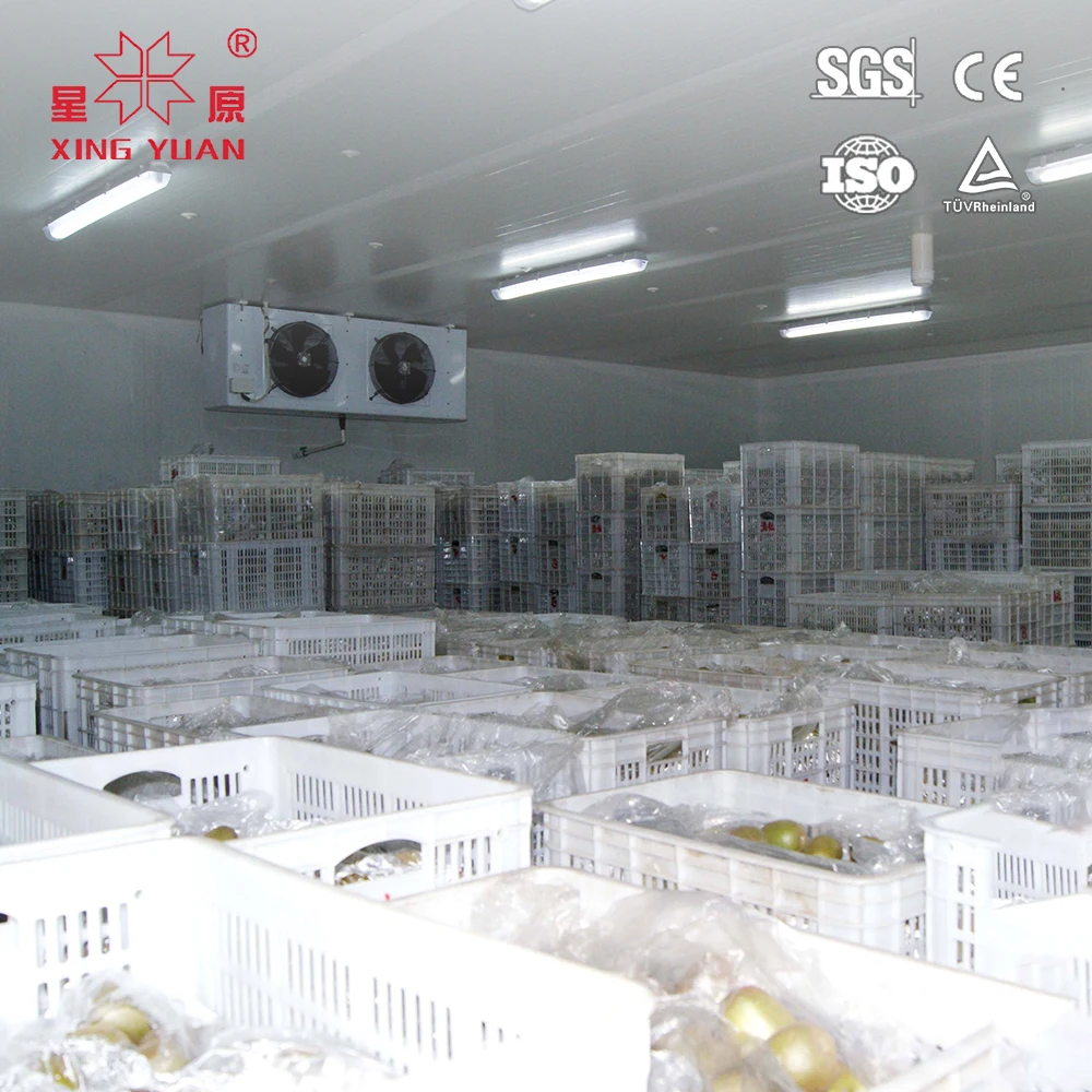 Chinese Manufacturer mushroom cold room refrigeration equipment cold room