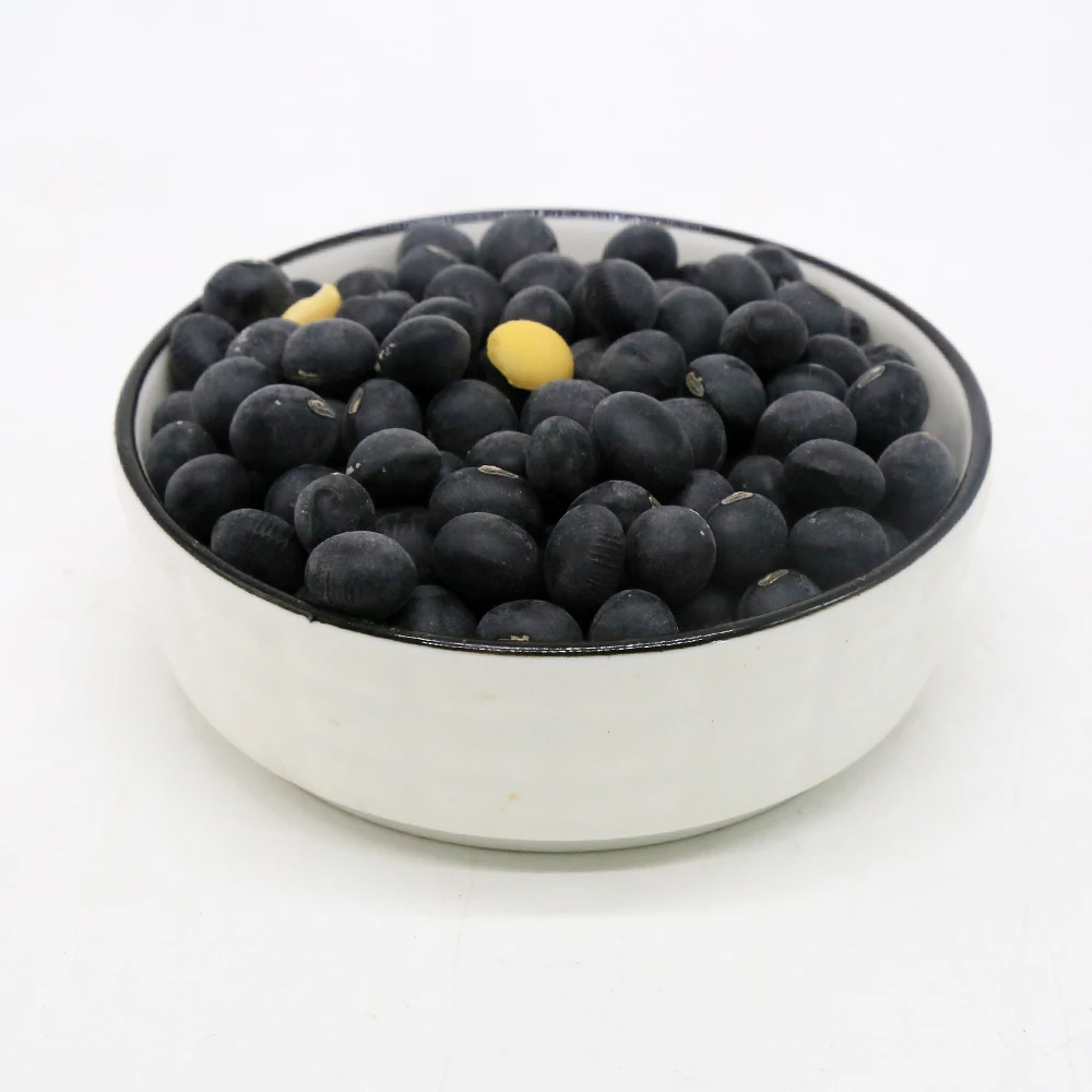 Free sample New crop high quality black kidney bean for sale