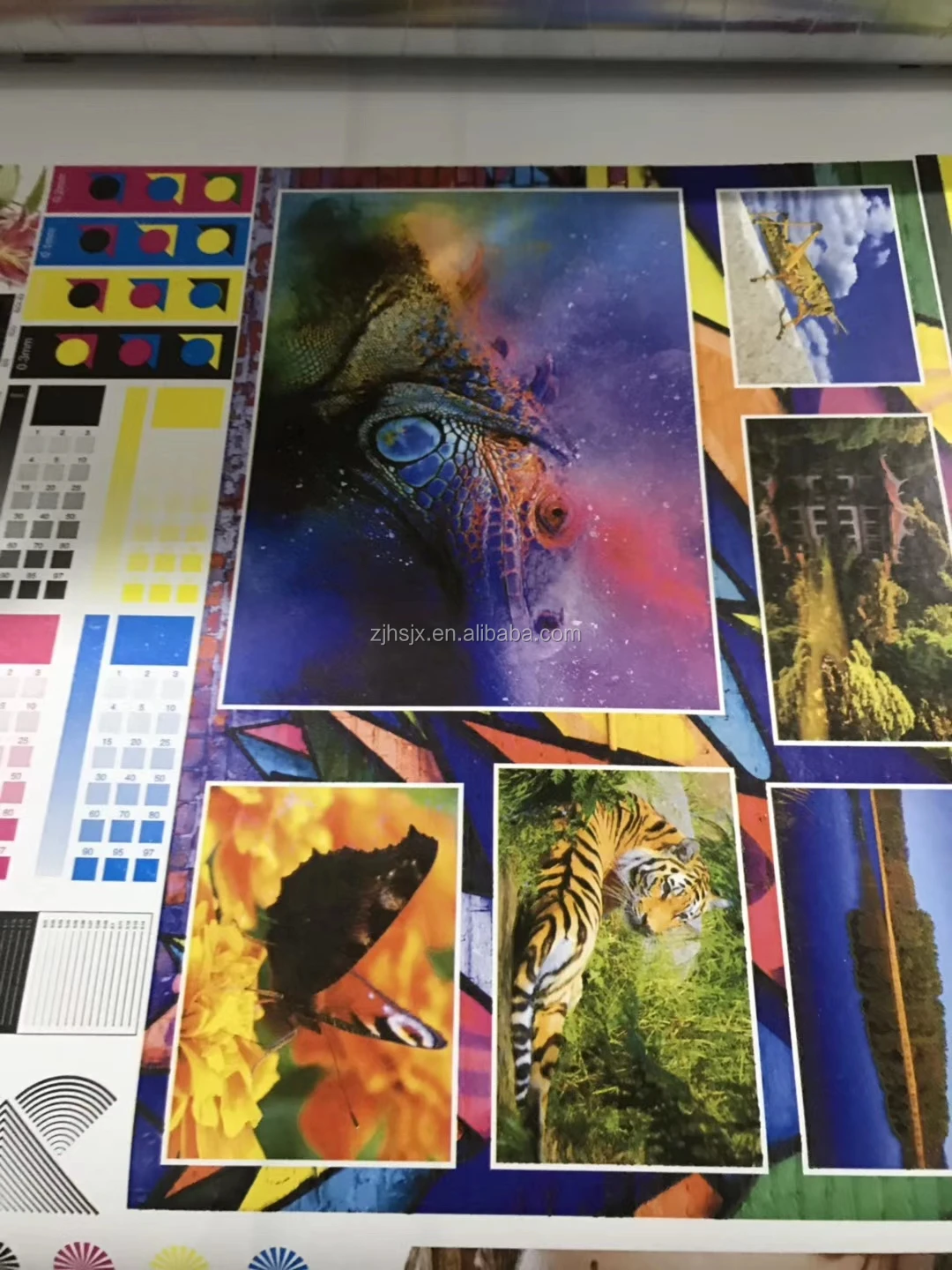 mmexport1587894419560