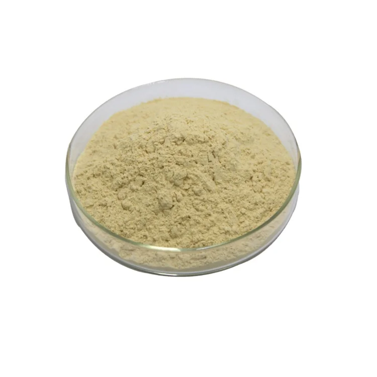 ISO Kosher Halal Certificate Ginger Root Extract Powder Water Soluble 5% Gingerol Ginger Extract