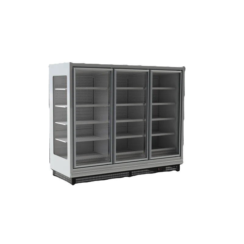 Glass Door Display Refrigerator Commercial Beverage Refrigeration Equipment Deep Display Fridge Freezer