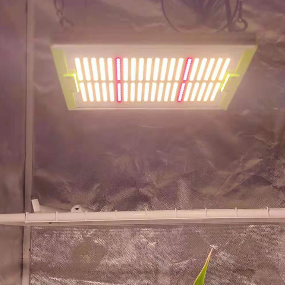 
AGLARE Grow Light 150w Waterproof Luminous White Led Body Lamp Customized Power Lighting Warm 