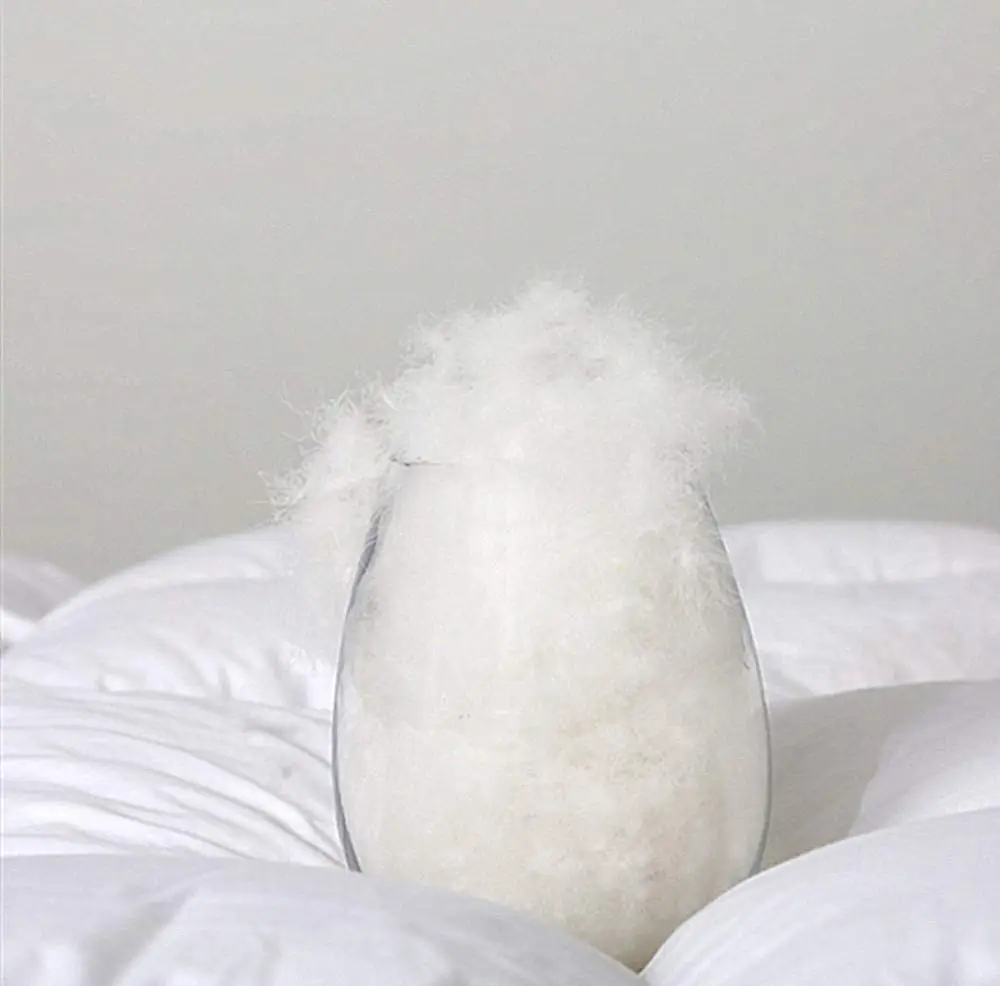 Indoor Down blanket Queen Size With Piping Down Filled Blankets with Binding White Goose Down Comforter Duvet Queen Size