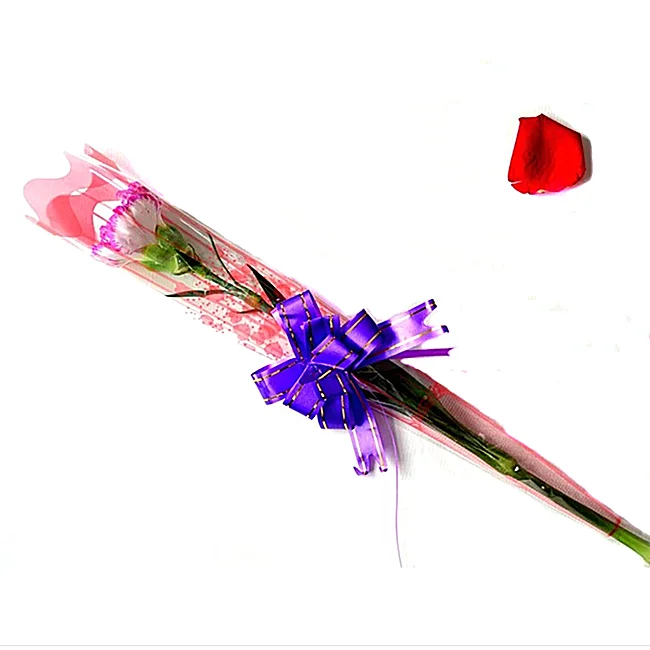 Оптовая продажа дизайнерские пластиковые рукава с принтом логотипа на заказ портативные экологически чистые цветами прозрачные одним