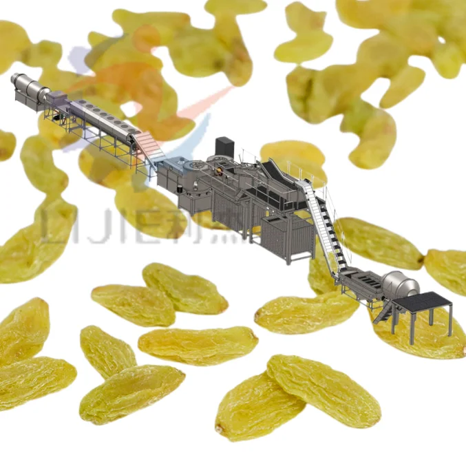 Industry raisin drying machine onion dryer with factory price