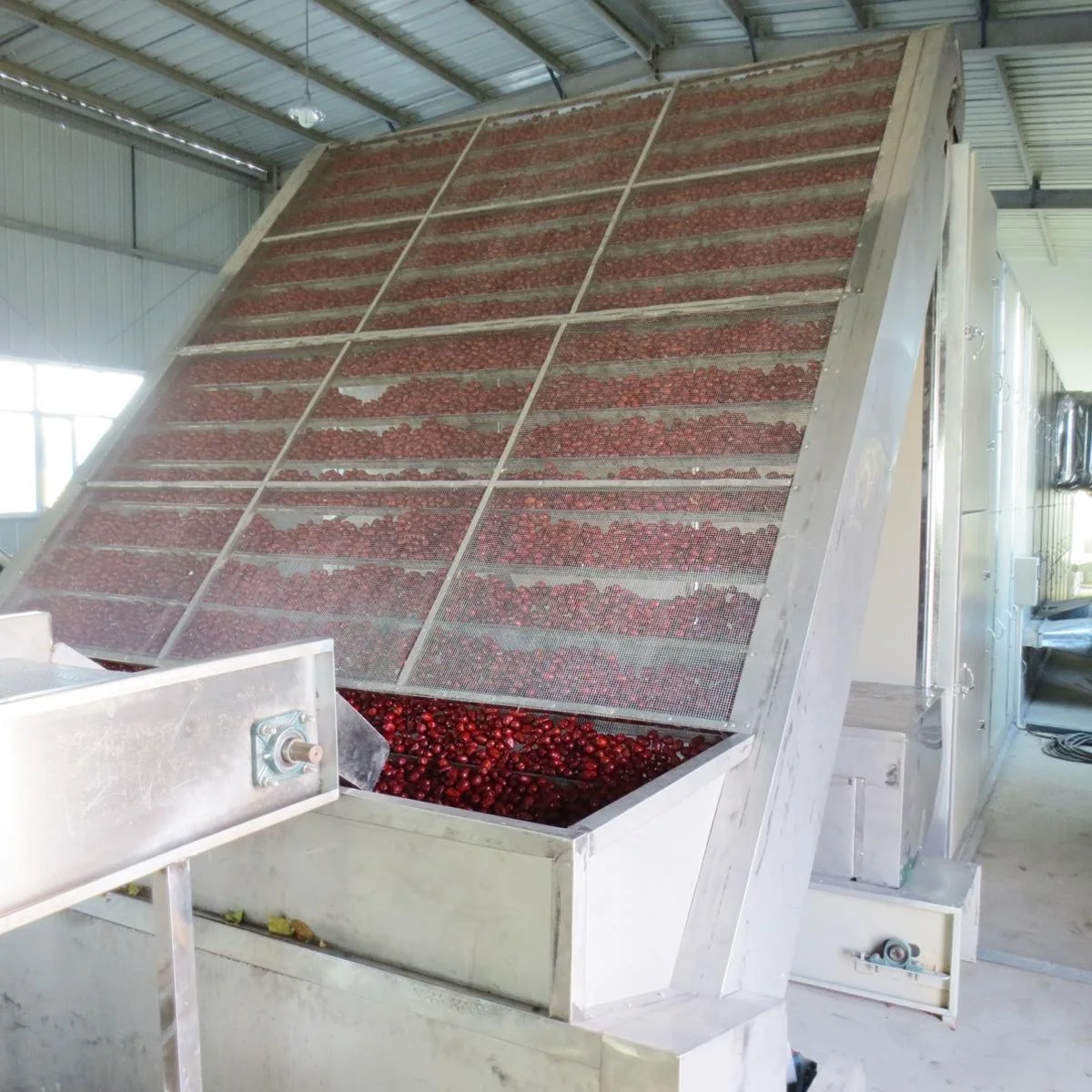 Оптовая продажа, медицинская ленточная сушилка, конвейерная сетка для корма Чили