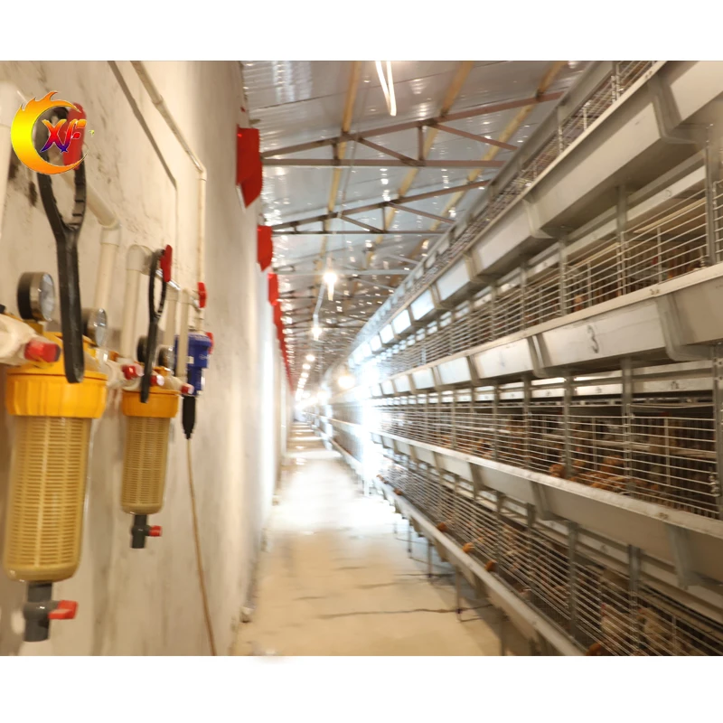 Automatic Poultry Equipment Chick Coop Brooding Cage For Kenya Chicken Farm