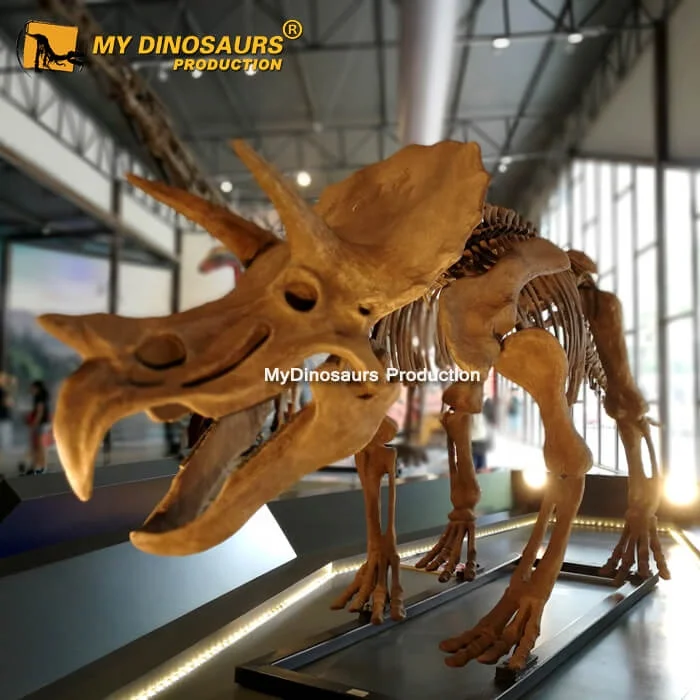  MY DINO DS099 скелет динозавра из стекловолокна для
