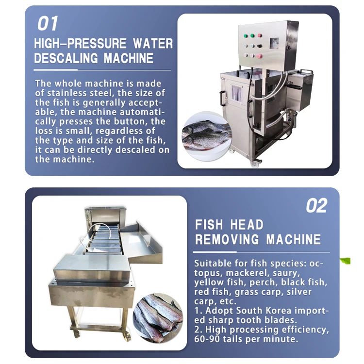 XXD High-yield and low-energy commercial custom processing line fish