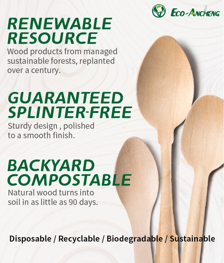 Hot Sale Disposable Eco-Friendly Biodegradable Wooden Soup Spoon Tableware