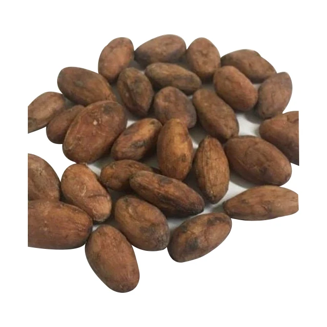 High Grade Hot Sale Cheap Bulk Natural Fermented And Dried Organic Peruvian Cacao Cocoa Beans From Peru