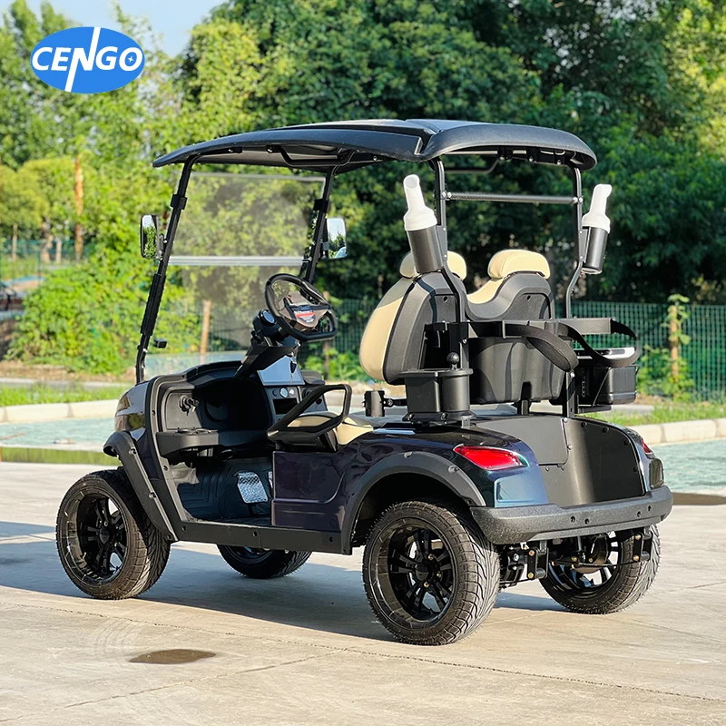 Luxury Off-road 2 passager Jeep electric golf kart with 48v 5kw lithium battery powered ambient light golf carts
