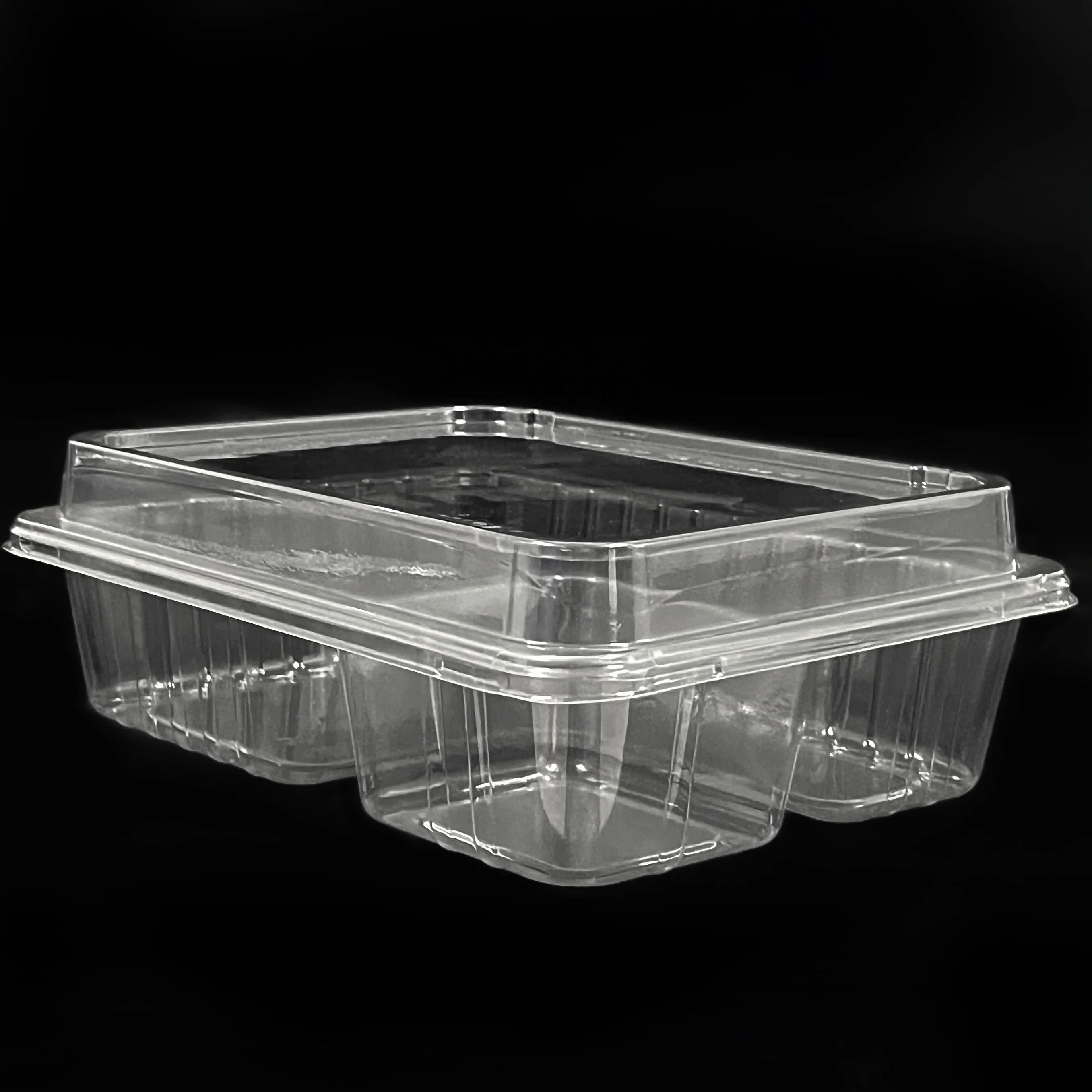 Hot Sale Plastic Containers With Lids Food Box Compartments Recyclable Plastic Takeaway Food Container Disposable