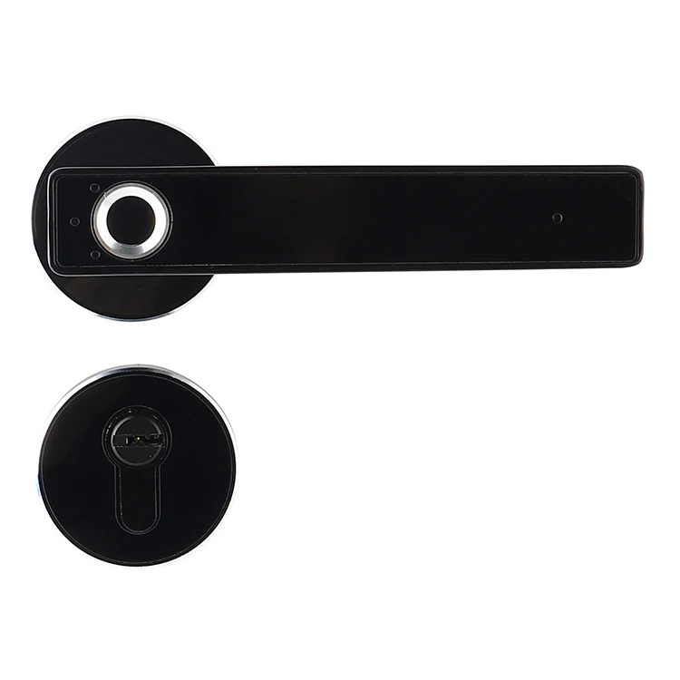 Lithium Battery Zinc Alloy Electron Fingerprint Digital Door Lock M13