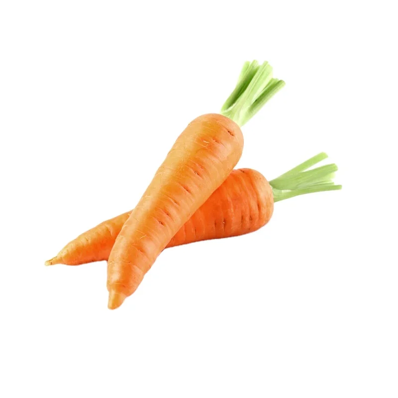 Factory direct  high quality low price delicious gcarrot  fresh vegetables  carrot