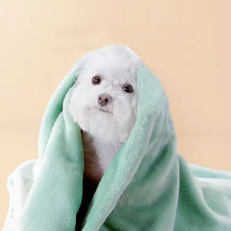 Coral Fleece and  flannel  Blanket Solid color for pet  High Quality Polyester Soft Warm accept customized Factory supply