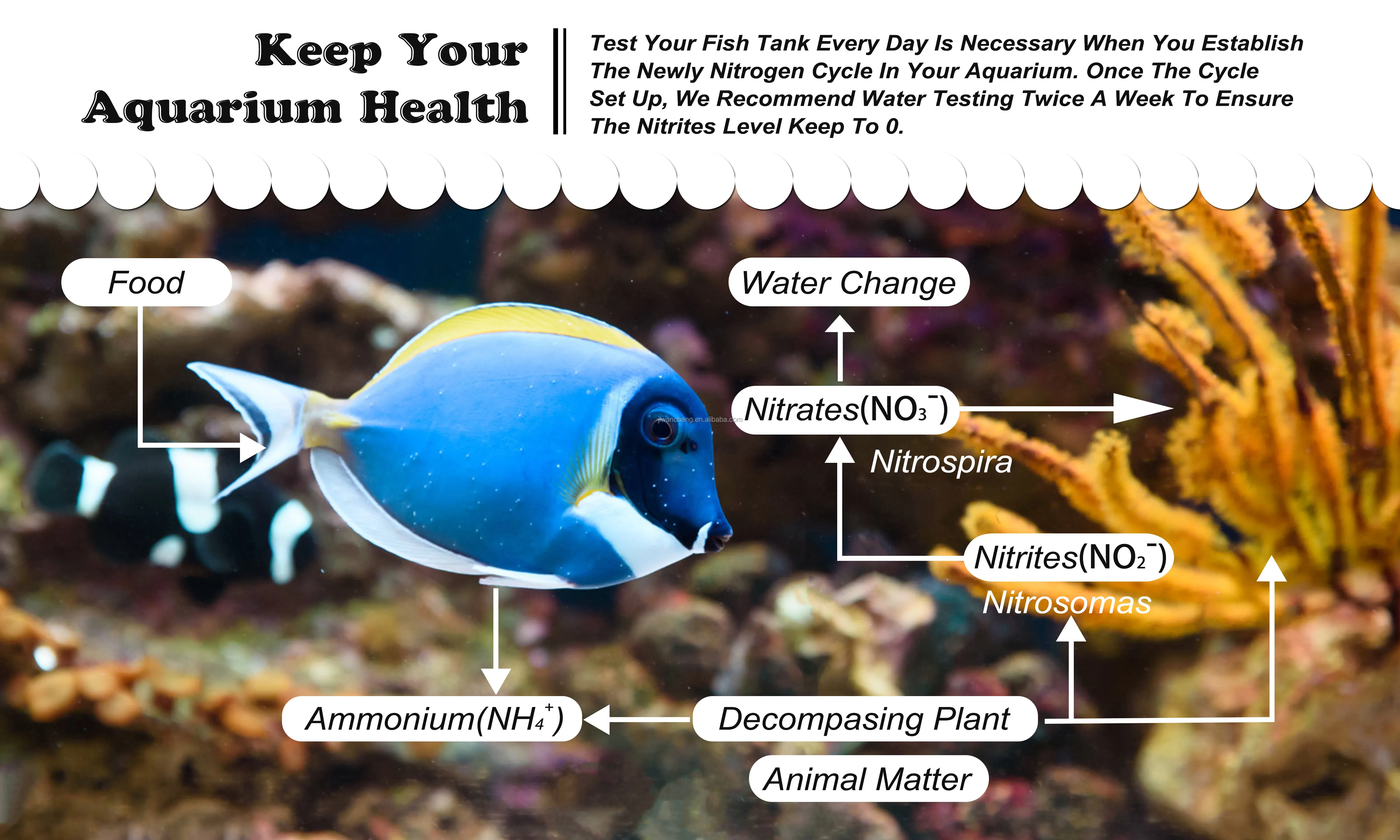 6 в 1, тестовые полоски для определения качества аквариума