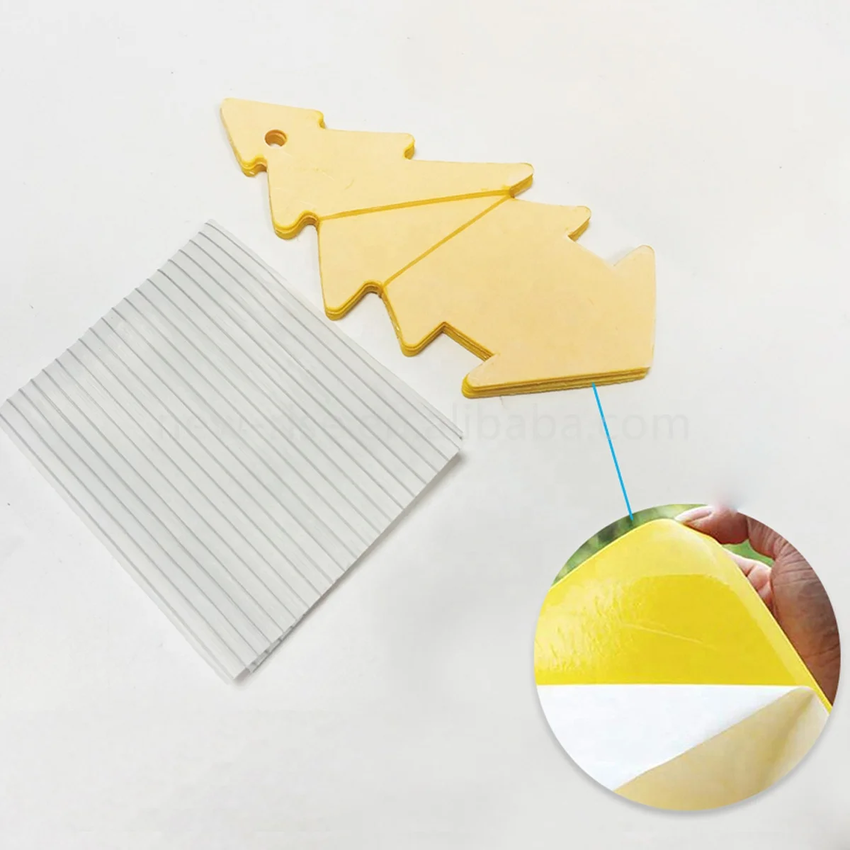 Non-Toxic Fruit Fly Bug Traps for Indoor Outdoor Use Protect Plant Insect Sticky Trap fly Glue Trap