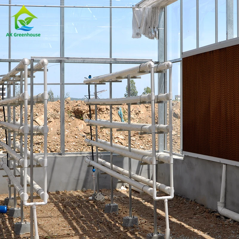 Hydroponic deep water culture system