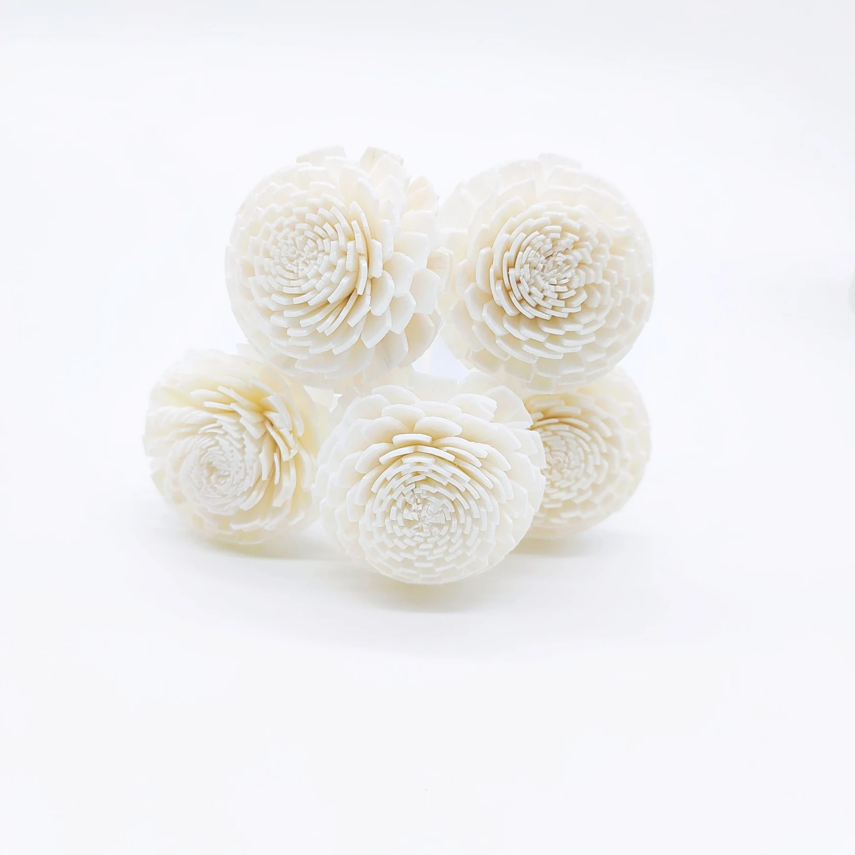 2024 New Products Hot Sale Natural White Sola Flower with Cotton Ropes Reed diffuser Flower stick