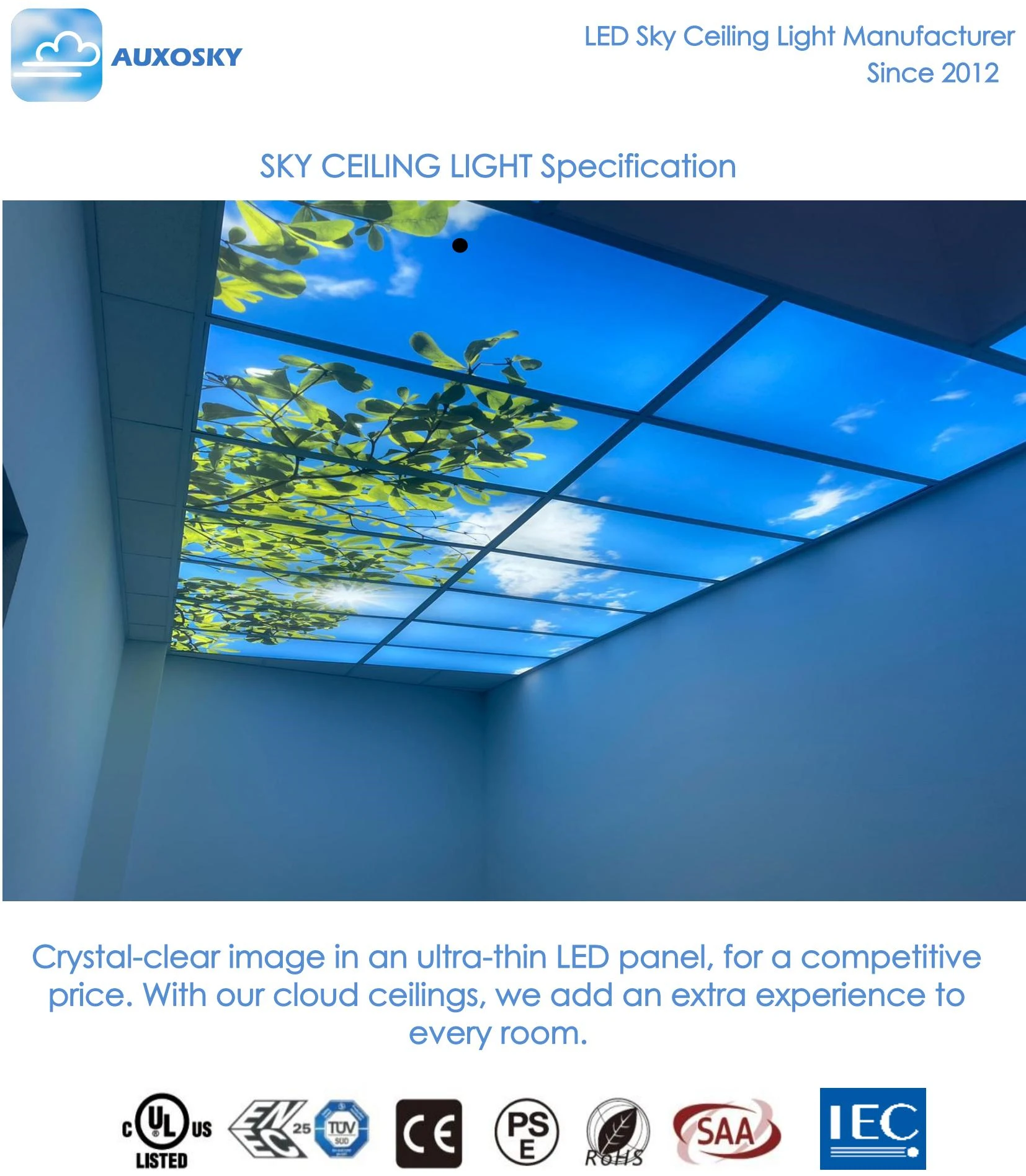 skylight ceiling panel (1).jpg