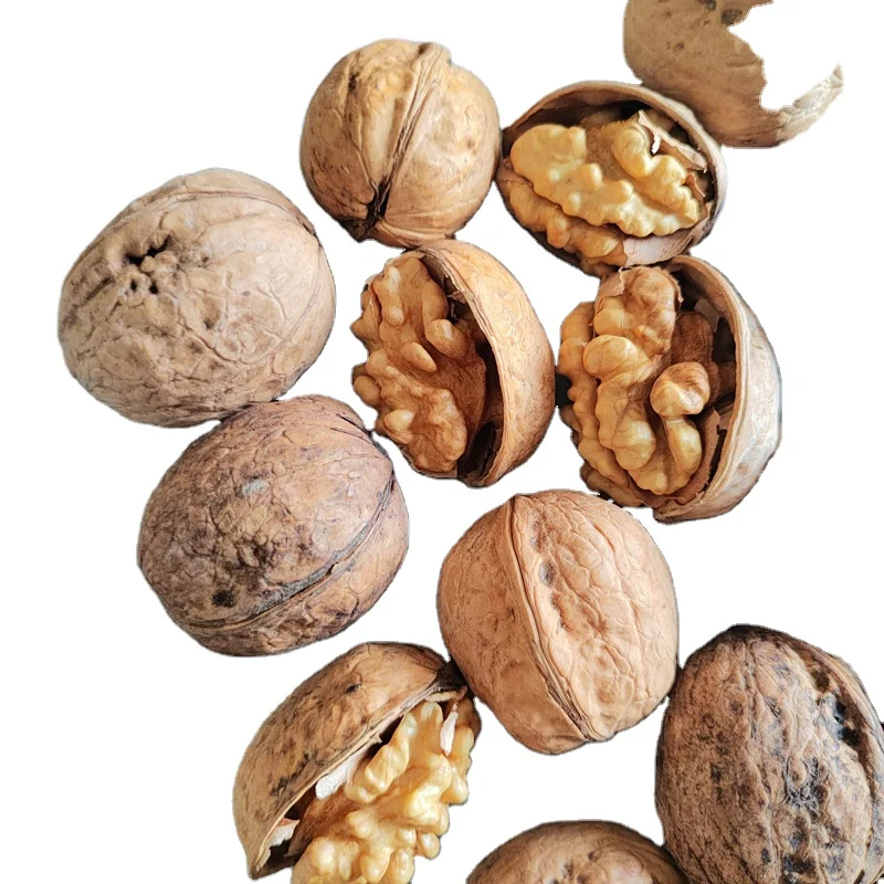Newest Crop Best Color  Thin Shell  Walnuts Xinar  type Walnuts  With Shell and Without Shell Walnuts Kernels