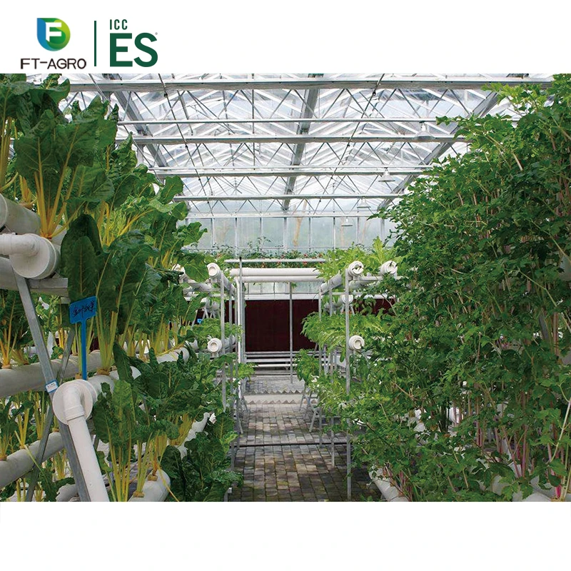 Easily Installed Agricultural/Commercial Greenhouse with Completely Hydroponics Vertical NFT Growing system