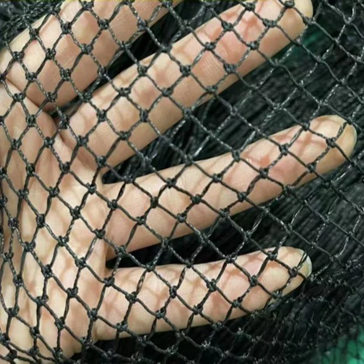 High Quality Knotted HDPE Garden Fruit Trees Protective Mesh Black Pond Net Agricultural Anti Bird Net Fishing Net