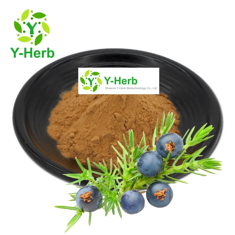 Juniperus Communis P.E. Y-травяная поставка натуральный 10:1 4:1 Communis/порошок экстракта Ягод Можжевельника