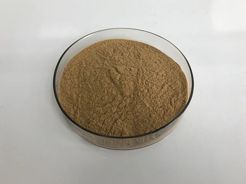 Insen Supply Natural Extract Fenugreek Seed Powder
