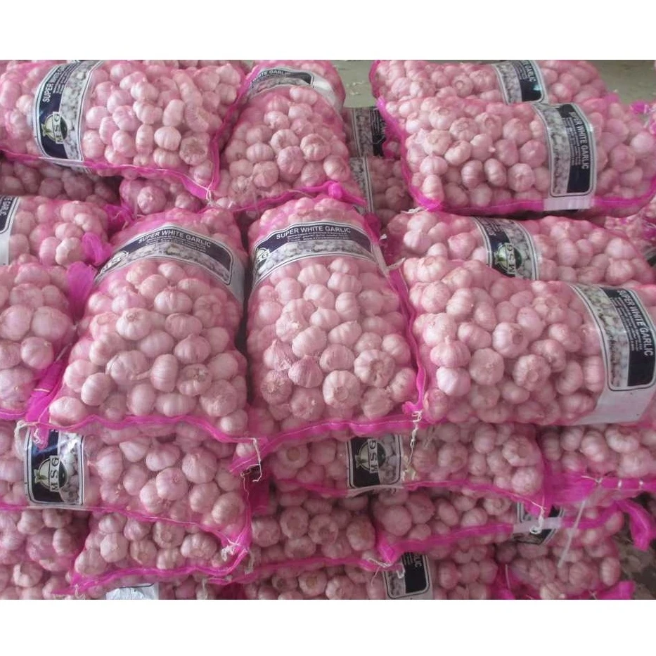 Fresh garlic Chinese new crop 2021 high quality wholesale garlic normal white alho fresco ajo from garlic exporters China