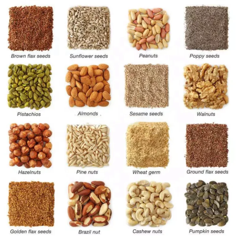 New Oil Processing Machine Sale 100kg per hour peanut oil extraction machine for Maize Coconut Corn Rice Bran
