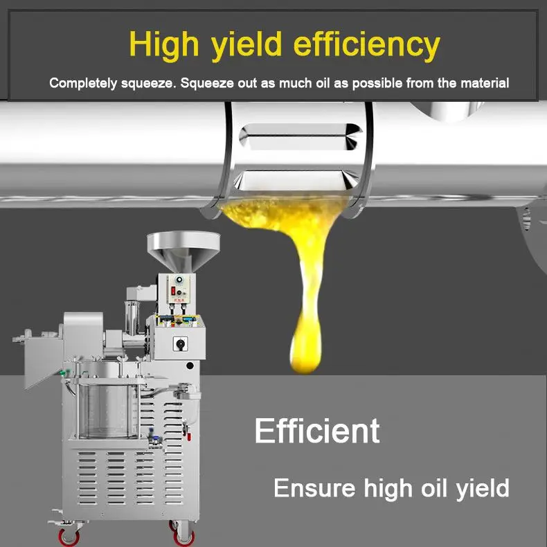 Top Quality Sunflower Oil Pressers Edible Cooking oil making machine price benefits cold pressed