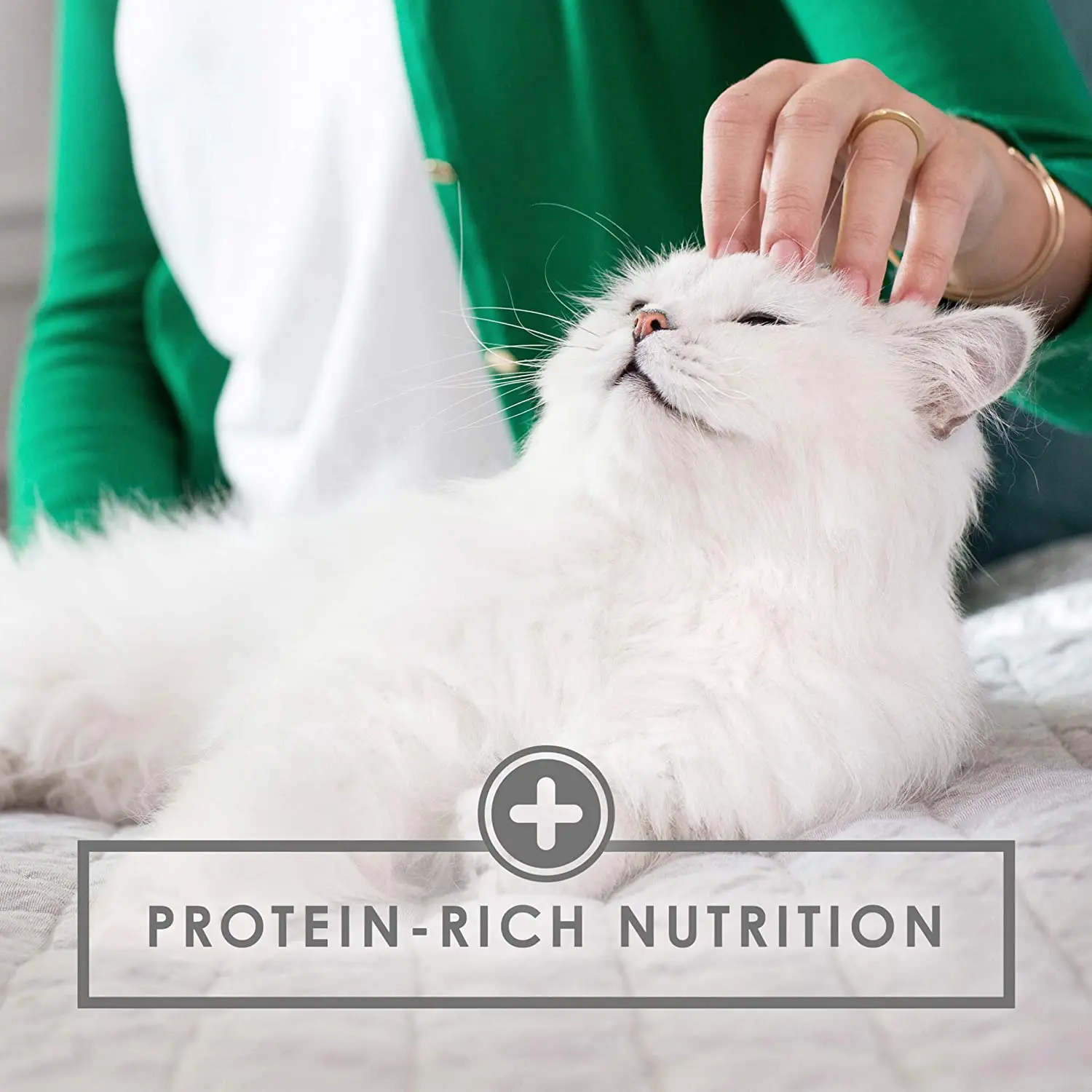 Fancy Feast Gravy Lovers Poultry & Beef Feast Collection Wet Cat Supplement lVariety Packs