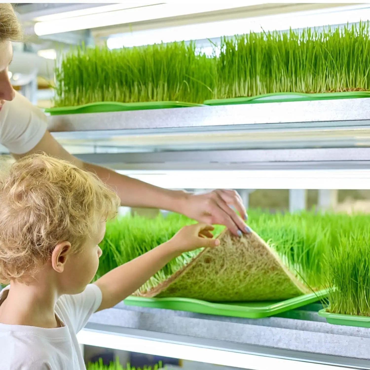 Jute manufacturer sustainable jute fiber fabric material hemp jute felt for plant vegetables without soilb