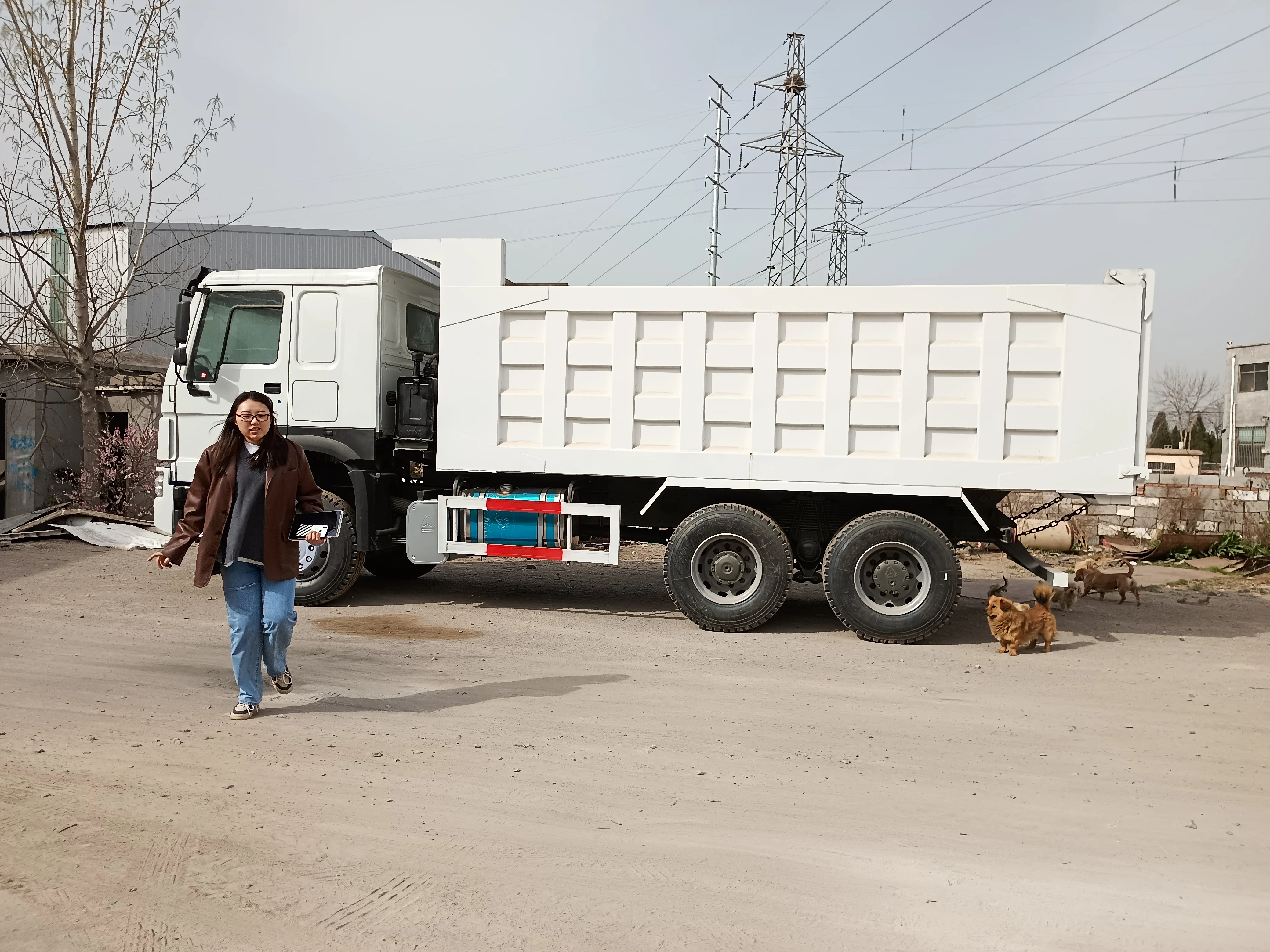 Высокопроизводительный 10 тонн SINOTRUK HOWO 6x4 мини-самосвал с ZF рулевым управлением