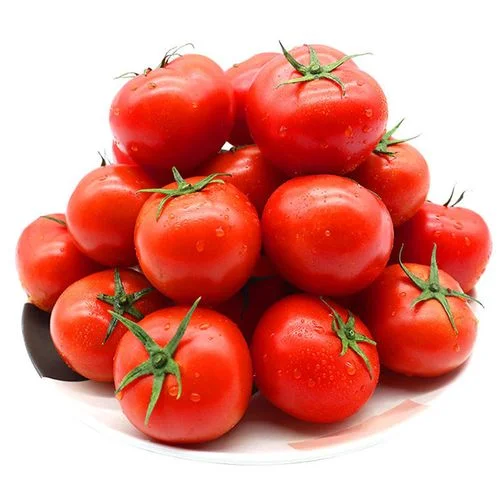 high quality fan qie Lycopersicon esculentum seeds F1 hybrid Red tomato seeds vegetable seeds