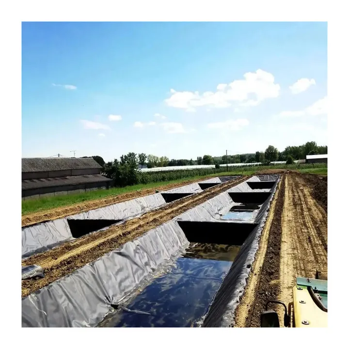 Hdpe LDPE LLDPE Pond Pool Liner 1mm Waterproof Plastic Dam for Reservoir Project in Kenya HDPE Geomembrane
