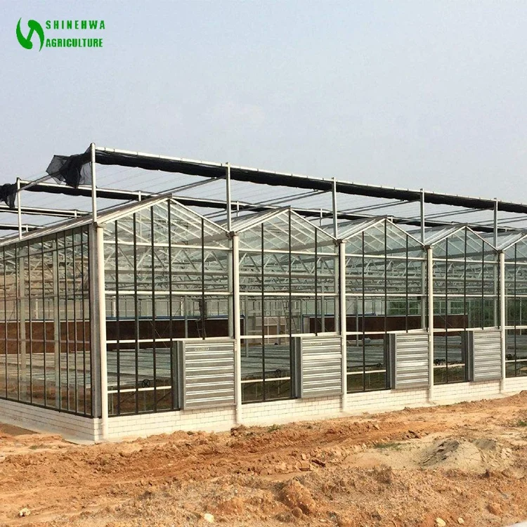 Hualiang prefabricated venlo glass garden greenhouse