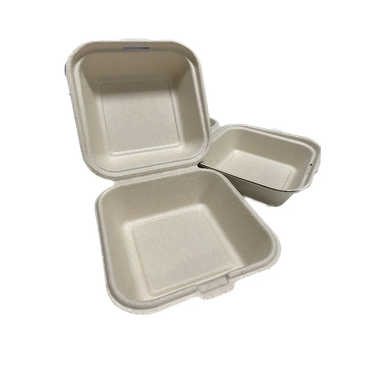 Disposable Bagasse Pulp Food Container Biodegradable Sugarcane Bento Lunch Box With Lid