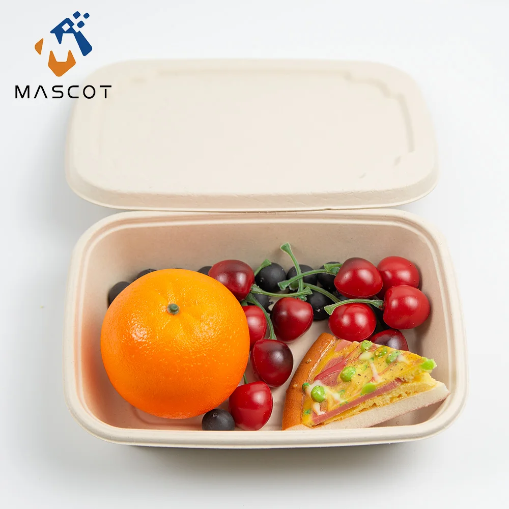 Factory Cheap Price Disposable Biodegradable Fruit Tray Bagasse Pulp Food Container Paper Food Container Tray