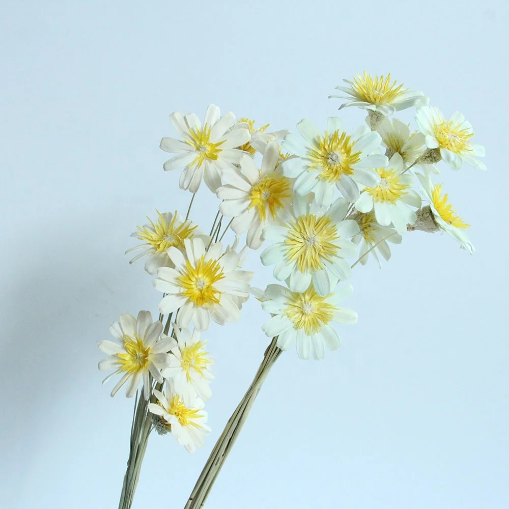 Primary Source Wholesale Dried Handmade Melon Seed Pericarp Flower The Third Genrnation For Home Decor Event & Party Supplies