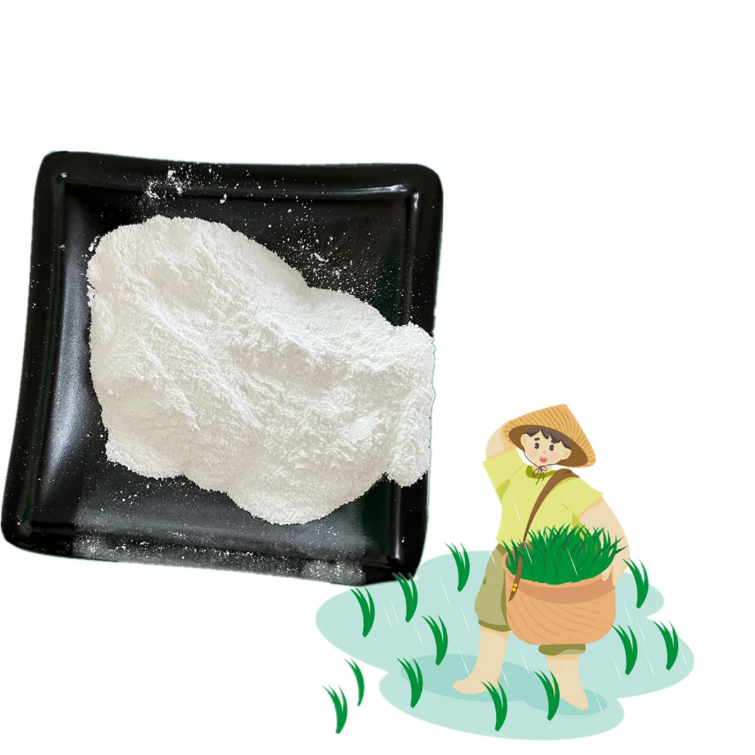 Wholesale White Magnesium Sulfate Powder 98% Pure Food Grade Magnesium Sulfate
