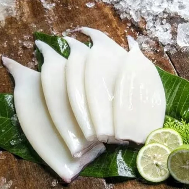 All size IQF squid tube Frozen Gigas Squid Tube U3 U4 U5 With Wholesale Price