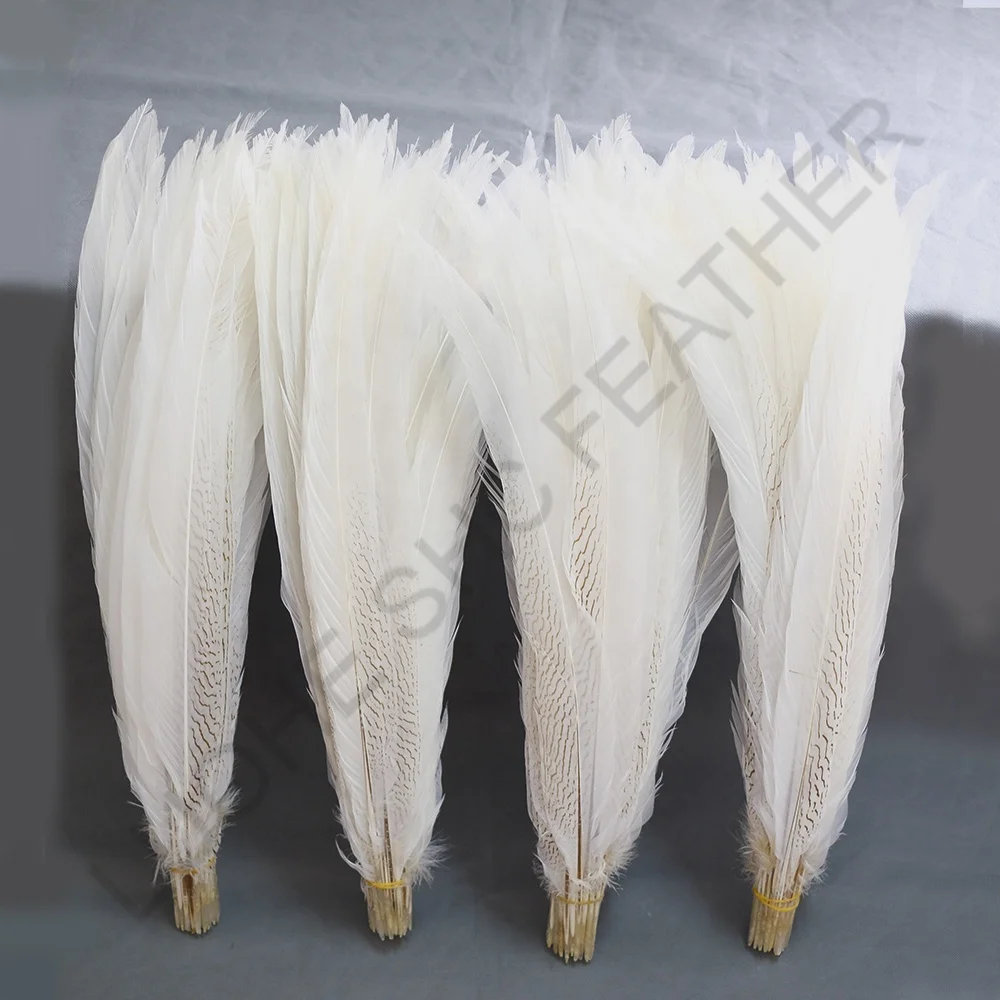 65-70cm Long White Silver Pheasant Tail Ostrich Feather Natural Pattern for Carnival Feather Costumes and Decorations or Crafts