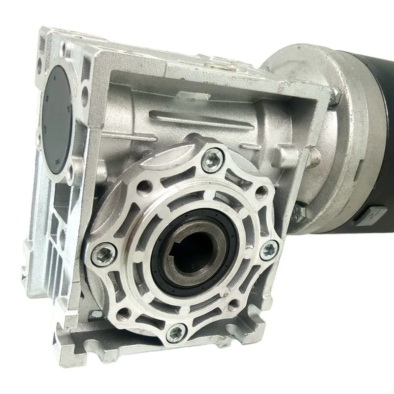 15Nm Worm Gear 200W Dc Motor 12V 24V 300W Nmrv040 Worm Gearbox Reducer Motor